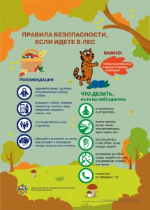 если идете в лес